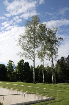 IMG 0964